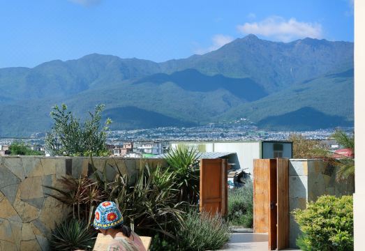 大理目野安林田园度假酒店（洱海生态廊道店）外景图