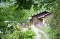 FOREST VIEW HOTEL Отели в г. Цзючжайгоу