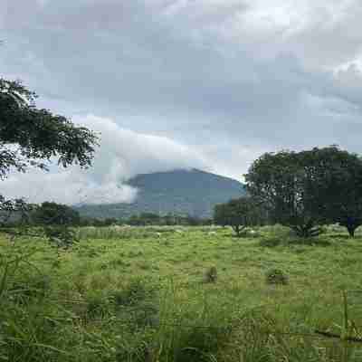 Palm Cabanas Resort Hotel Exterior