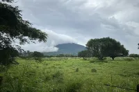 Palm Cabanas Resort Hotels in Magalang