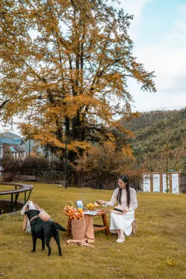 安吉·銀杏墅Ginko House山野·私湯設計師度假美宿 景村姚家大院附近的飯店