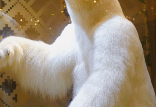 하얼빈 전닝 호텔 객실 이미지