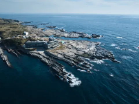 Fufu Jogashima