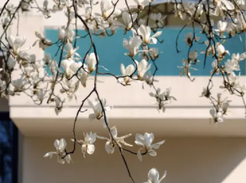 Wuhan Aquatree Resort