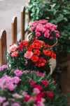 Yuxi Zhouqiao Neighbor Inn - New