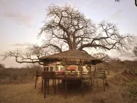 Elewana Tarangire Treetops Hotels in Monduli
