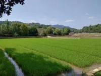 Lushan Maoxinqiao Homestay (Lushan Former Residence)