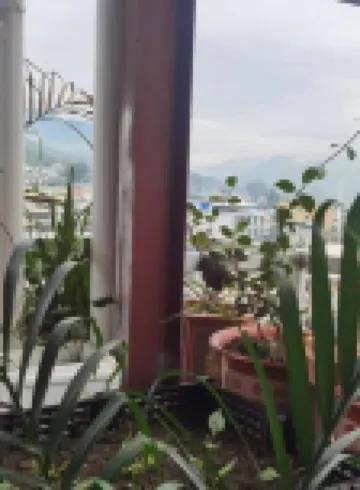 永徳鴻福中国式旅館