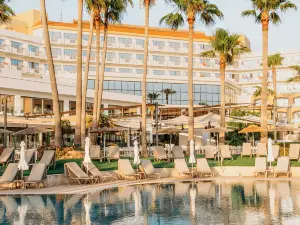 Top 4 4-Star Select Hotels in Paphos District