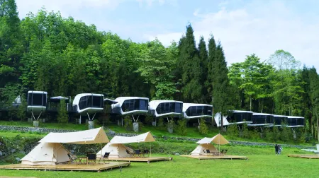 Panda‘s forest homestay