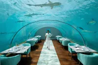 Conrad Maldives Rangali Island Hotel a Bodufinolhu