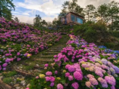 青寂溪谷半山ホテル 桃渓周辺のホテル