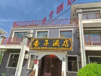 Qicai Danxia Apricot Hotel