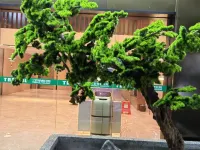 Guiping Clover Holiday Hotel Hotels in Guiping