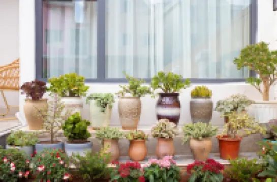 Kunming Xiyunju Inn (Dianchi Haigeng Dam Store)