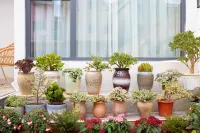 Kunming Xiyunju Inn (Dianchi Haigeng Dam Store)