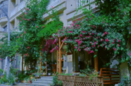 Bifenggang Homestay (China Tianyan Science Popularization Base)