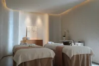 Fly Zoo Hotel - spa