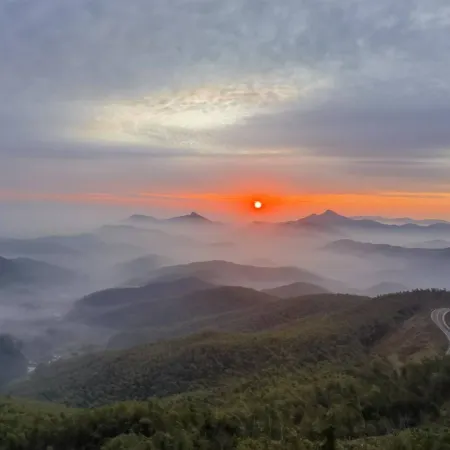 Juanniaoguichao · Luyunnami Time Camp (Zhaijishan)