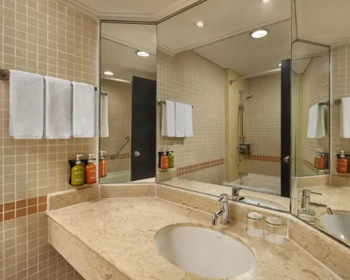 Holiday Inn SINGAPORE ATRIUM by IHG Rooms Photos