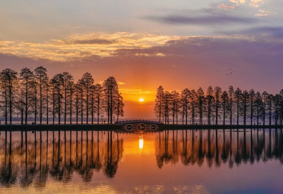 추이리우 호텔 주변 동호의 풍경
