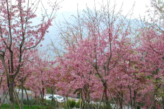 施設外観 ハウステンボスの写真