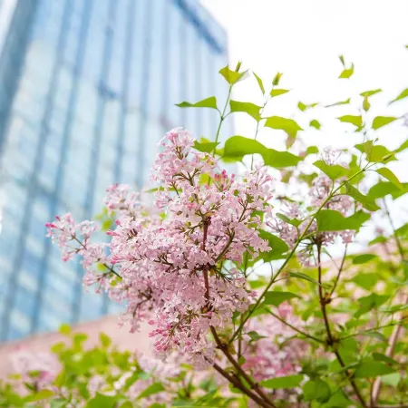 Grand Millennium Beijing