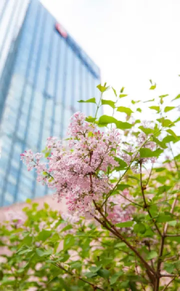 Grand Millennium Beijing