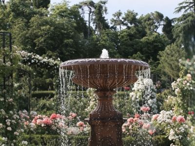 MARING GARDEN BOUTIQUE HOTEL