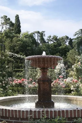MARING GARDEN BOUTIQUE HOTEL - Homestays
