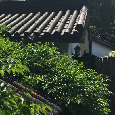Quanzhen Chinese Inn (Xihu Lingyin) Отели рядом с достопримечательностью «Храм Линь Ань»