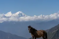 Luding Niubei Mountain Mowang Valley Resort&Hotel