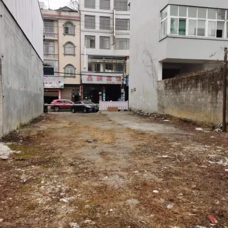 Xingren Back Garden Hotel (Wenhua South Road)