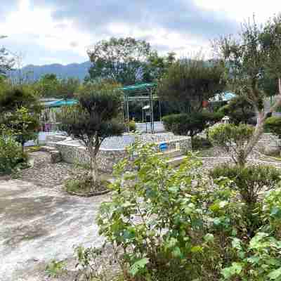 新豐梅東溫泉賓館(梅中大道分店) Hotel Exterior