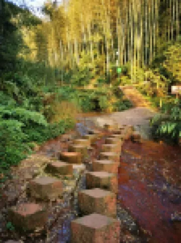 蜀南竹海忘憂雅居客棧