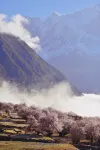 See Wild·YS  Galang Palace Retreat - Mountain view