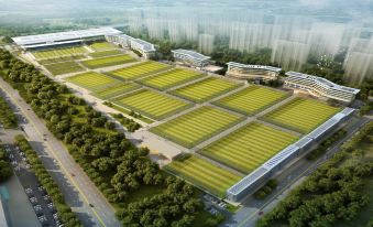 Dalian Football Youth Training Base