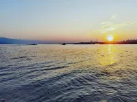 寓見青年社區 - 寵物友善
