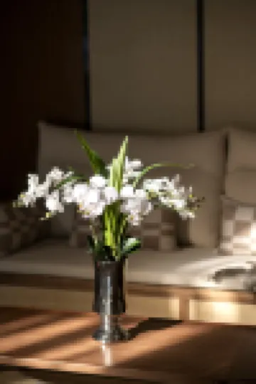 喬阿西斯霍特爾