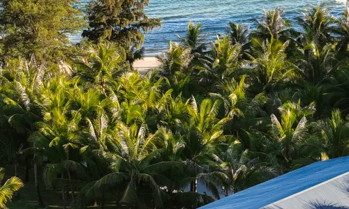 ANYU Hotel - Sanya