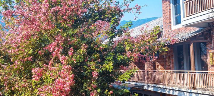 Huangyao Flowers Ocean Hotel Hotels in Zhaoping