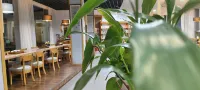 Shanghang Juexin Valley Homestay - servizio colazione