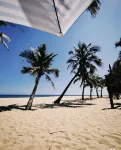 Fengyue Four Seasons Apartment Hotel (Yangjiang Hailing Island North Luowan Branch) - Beach