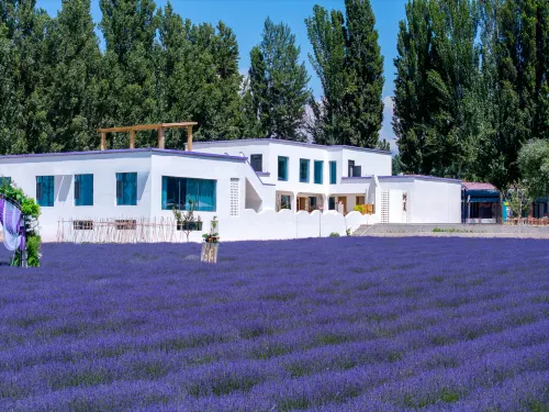 樹夏民宿（晃晃村店）