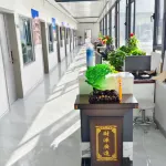 Mountain side homestay