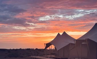Kumutage Desert Dune Sandhill Starry Sky Homestay