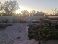 Prosperous Homestays in the Desert of Alxa Right Banner