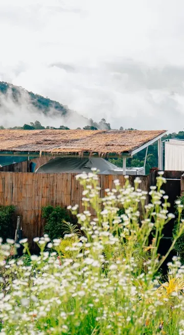 สกายโดม