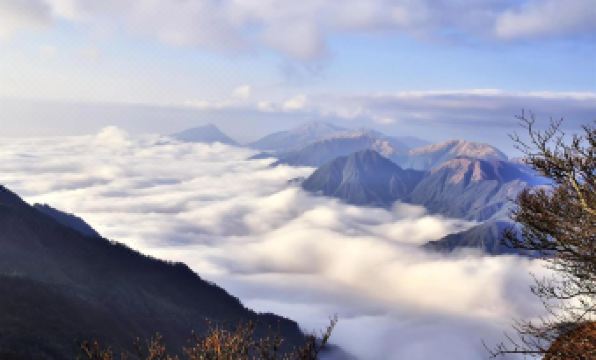 Ji 'an Azalea Wisdom Hotel