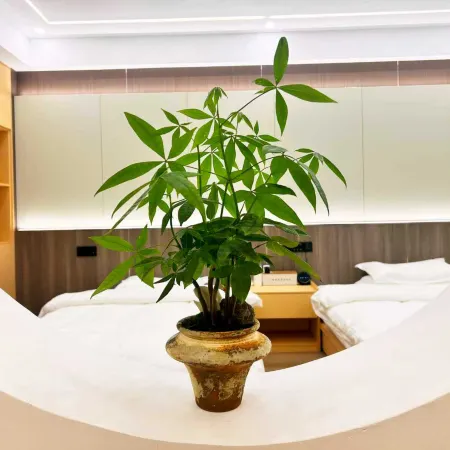Huiyuan International Business Hotel Hotel a Zhuxi
